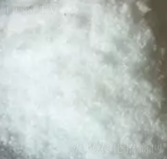 �̌���������-���R