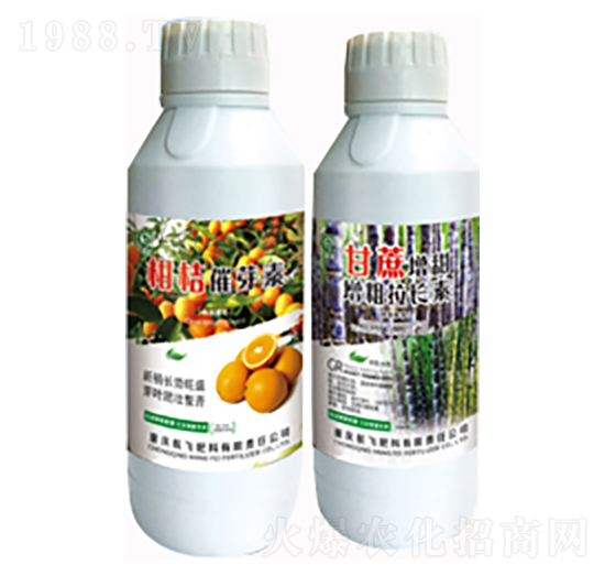 �̽۴�ѿ��+���������������L��-���л���