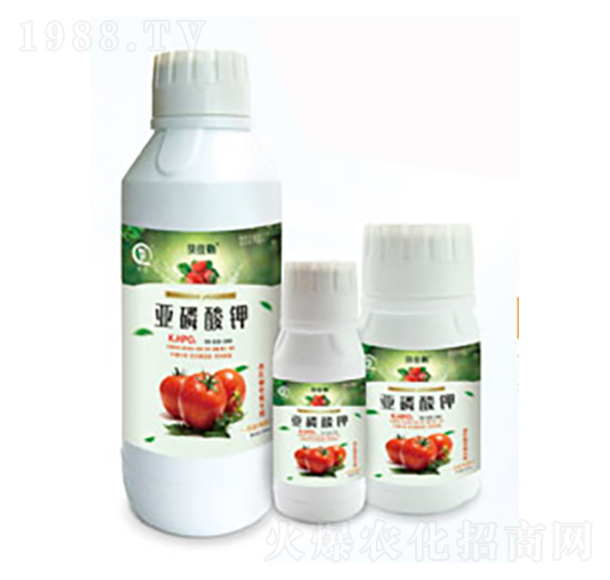 ���t����ݮ��(zhu��n)�Á������-���л���