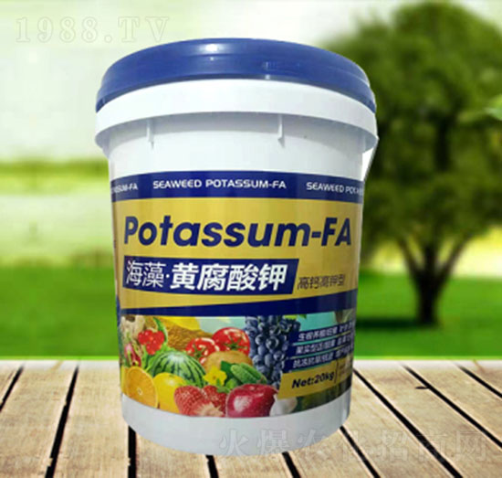 �����S�����-�\�����Q(m��o)��