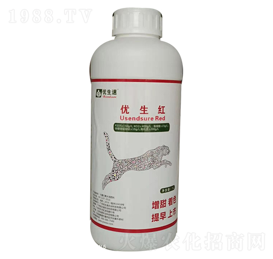 ��(y��u)���t-��(y��u)����