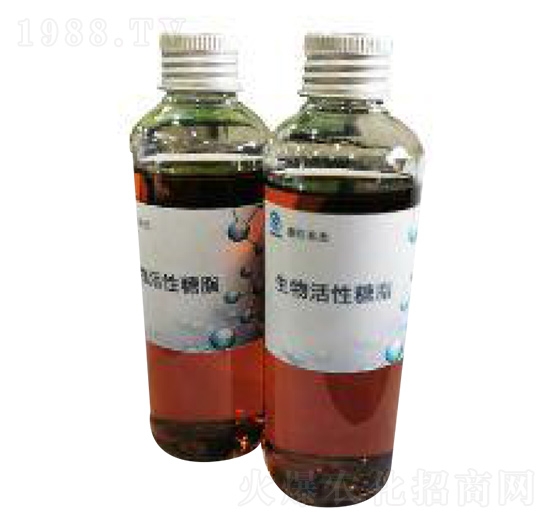 ���������֬-�|������