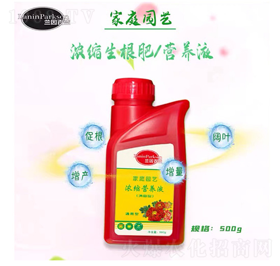 ��ͥ�@ˇ��s�����ʣ������ͣ�-�m���ʢ-ïʢ����