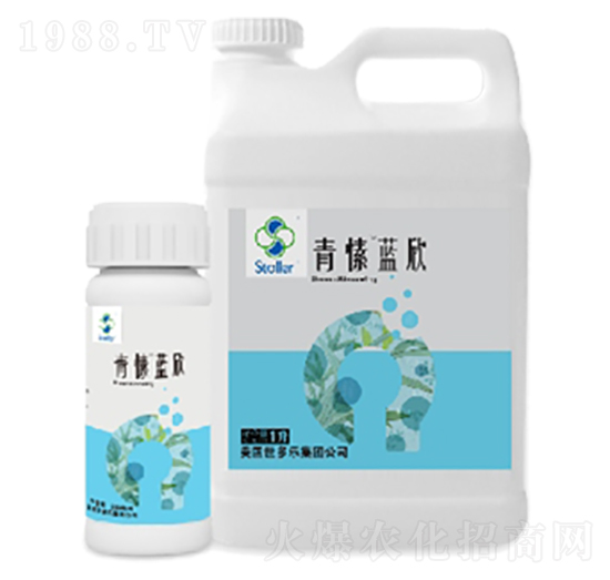 ����{��-������