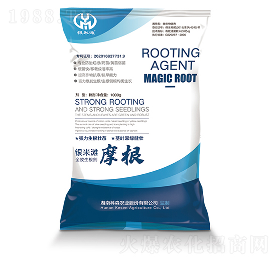 ������-Ħ��-�y�מ�����