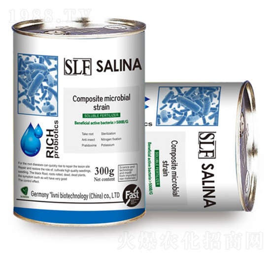 SLF�����؏�(f��)��΢����ԭ���N-�y�מ�����