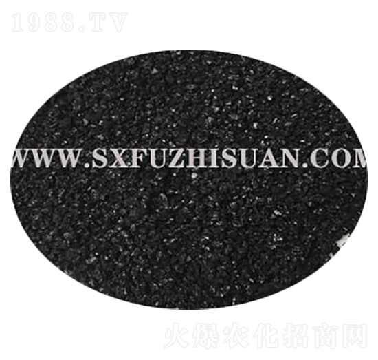 ��ֲ���c�w��-ʢ��������