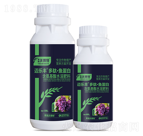 ����������ġ��~����-�~���S-Ӣ���ֲ���