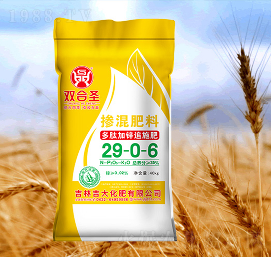 �p��ʥ�������29-0-6-����