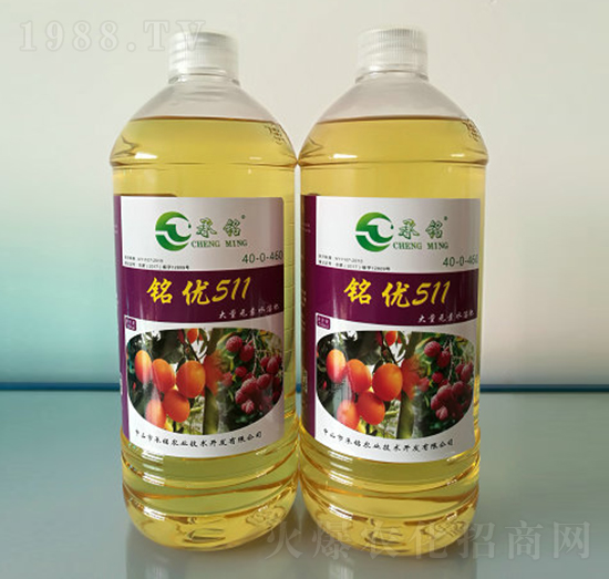 �S��⛷�-㑃�(y��u)511-����r�I(y��)