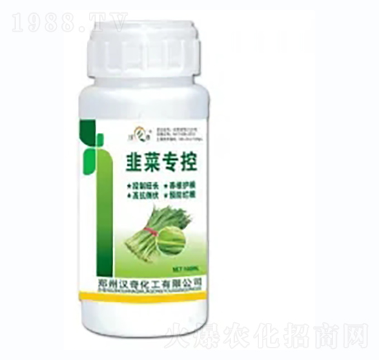 �²ˌ���-�h�滯��