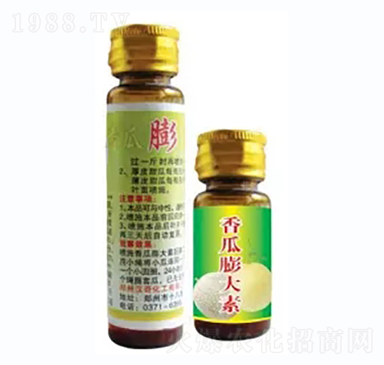 ��������-�h�滯��