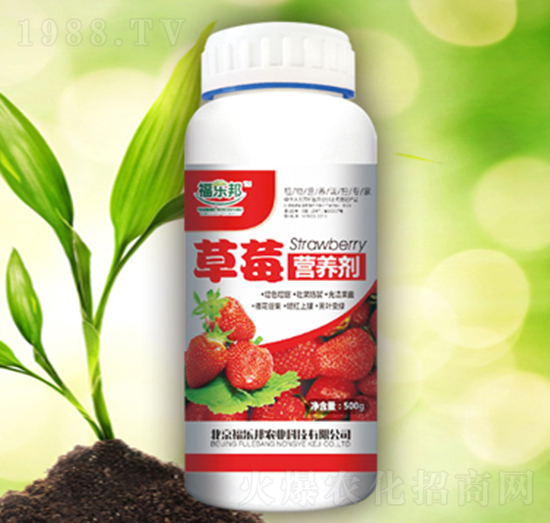 ��ݮ�I(y��ng)�B(y��ng)��-����(l��)��