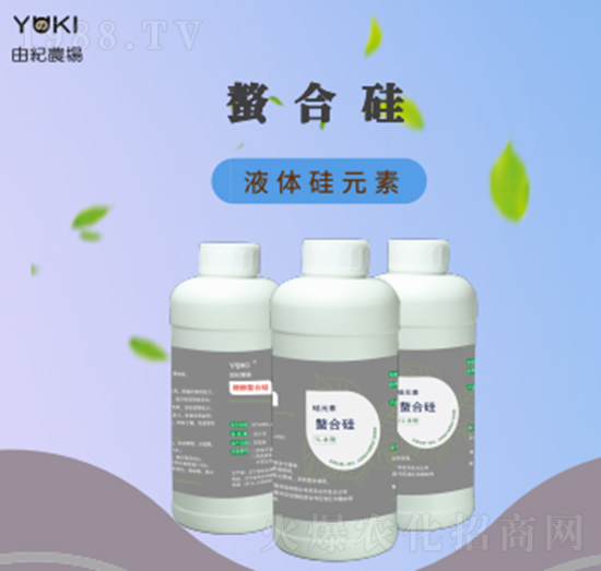 ���Ϲ��-�ɼo(j��)����