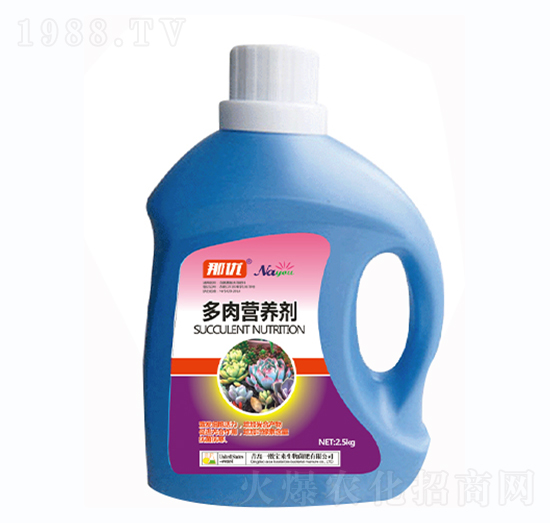 ����I�B(y��ng)��-һ������
