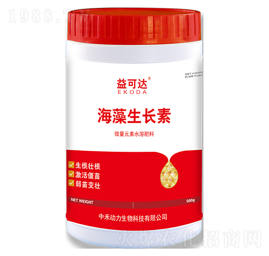 �������L��-����_(d��)-�к̄���