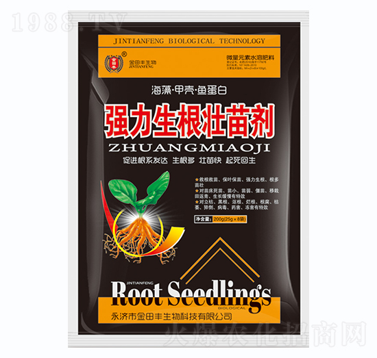 �����������焩-�����S