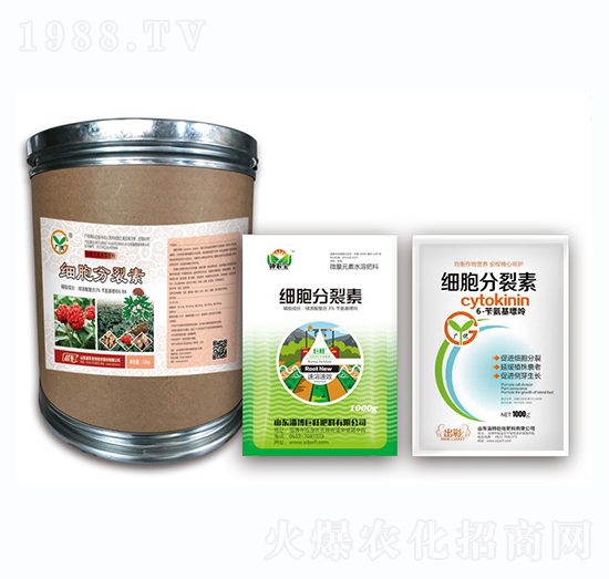 ��(x��)��������-��(zh��n)܇(ch��)