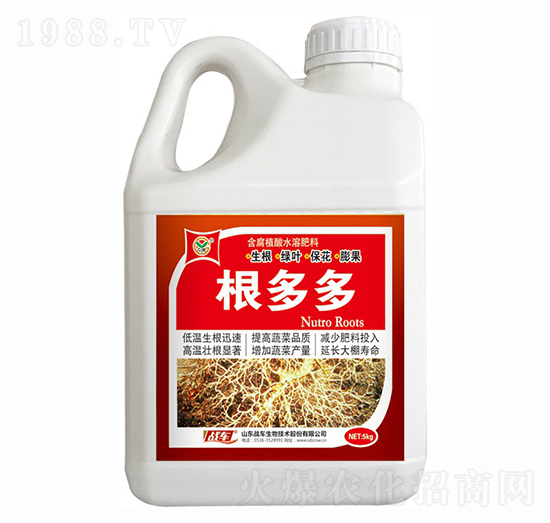 根多多-戰(zhàn)車