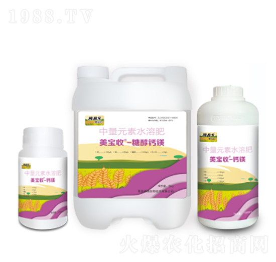 �������Ǵ��}�V-�M������