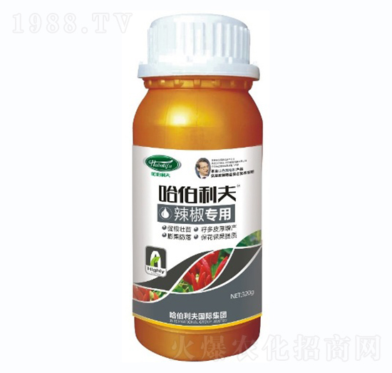 ������(zhu��n)��-��������