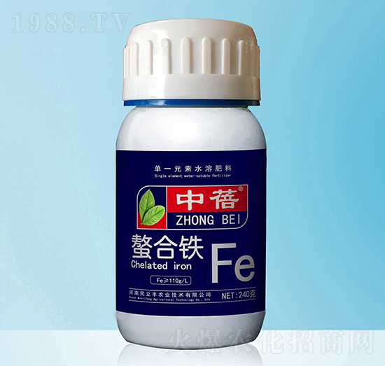 �����F-����-�����S