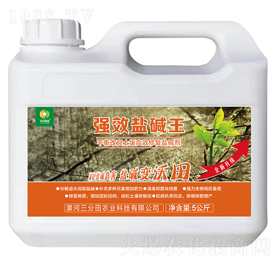 ƽ����������ޏ��}�A��-�}�A��-�S���Έ@-������