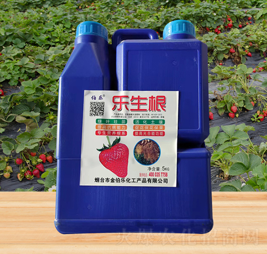 ������-�𲮘�