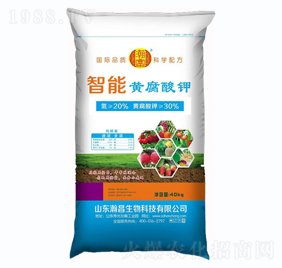 �����S�����-嫲�����