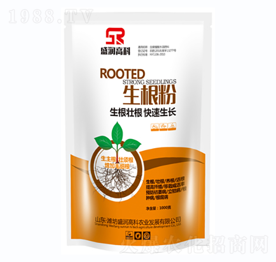 ������-ʢ��(r��n)�߿�