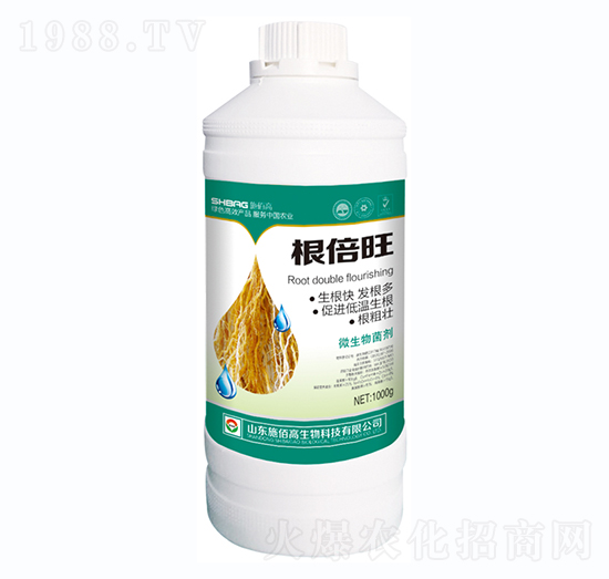 ������-ʩ�۸�