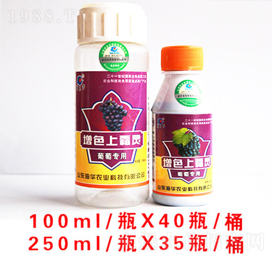 增色上霜靈組合-海華農(nóng)業(yè)