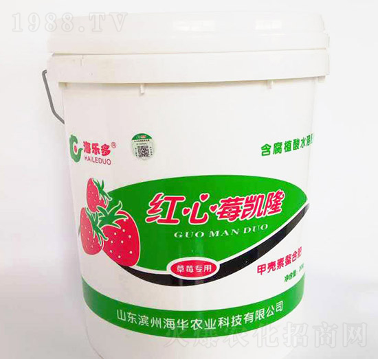 �t��ݮ�P�����_ʩ�ͣ�-���A�r(n��ng)�I(y��)