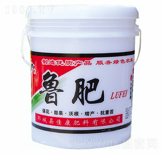 ����-�ѿ�