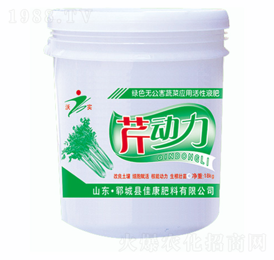 �ۄ���-�ѿ�