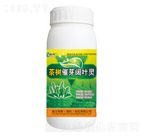 ���(sh��)��ѿ��~�`-�G��-��ʿ�R��