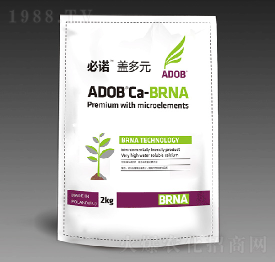 �w��Ԫ-���Z-����ķ