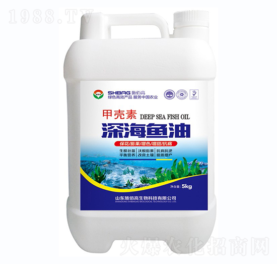 �ך�����~��-ʩ�۸�