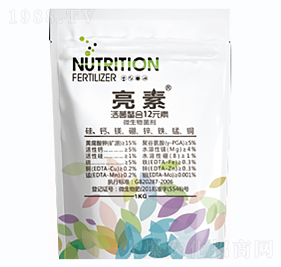 ����-�º���