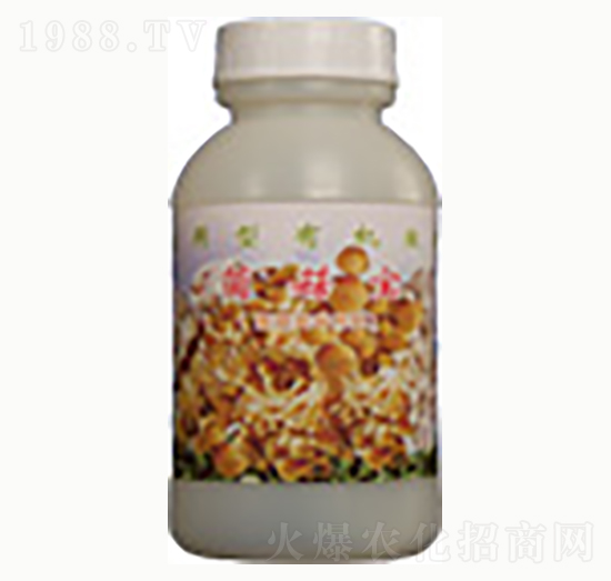 ������-�n����