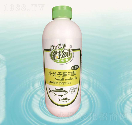 �þGС���ӵ�����-�{(l��n)���r(n��ng)��