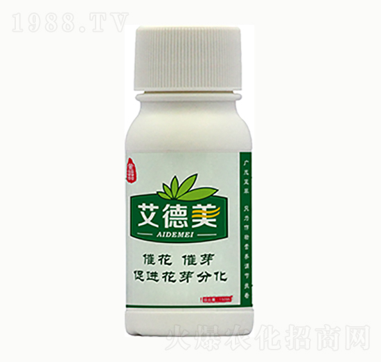 ������-�{(l��n)���r(n��ng)��