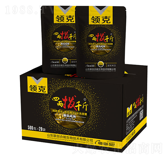 �ăɓ�ǧ��-�I��-��(chu��ng)����