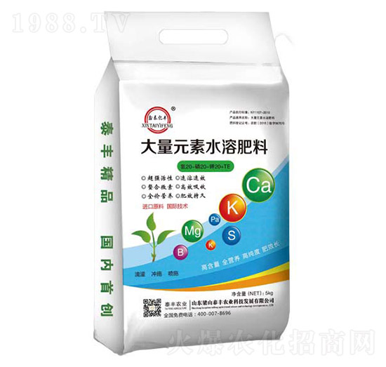大量元素水溶肥20-20-20-梁山泰豐