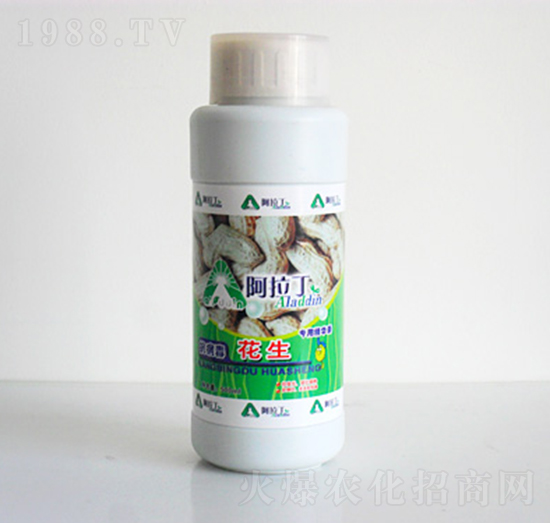 �������þ��A��-������