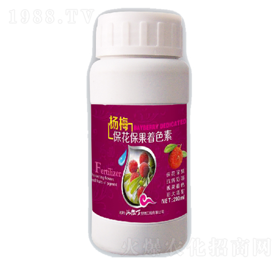 ��÷����������ɫ��-������