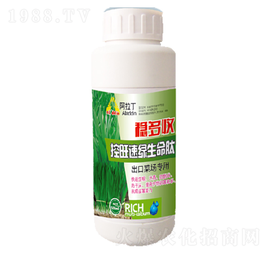 �����پG������-��(w��n)����-������