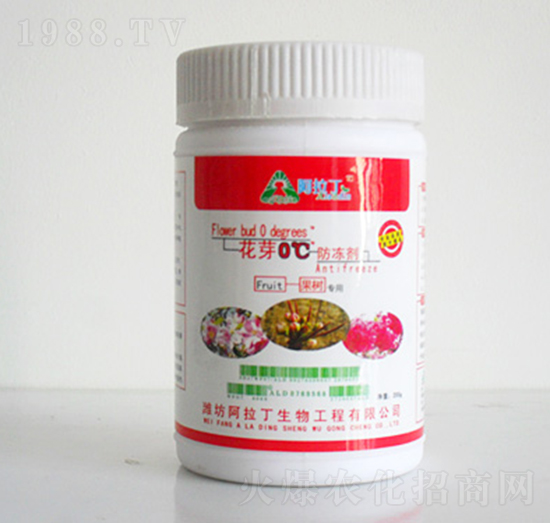 ��ѿ������-������