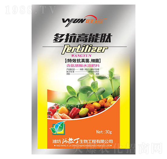 �࿹������-������