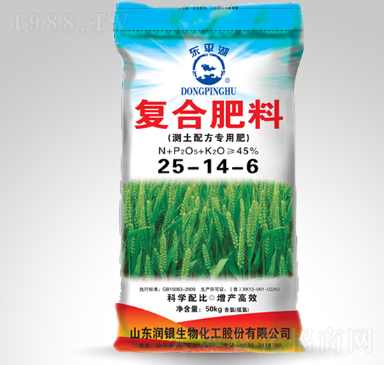 �ͺϷ���25-14-6-�|ƽ��-����